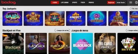 Bodog casino